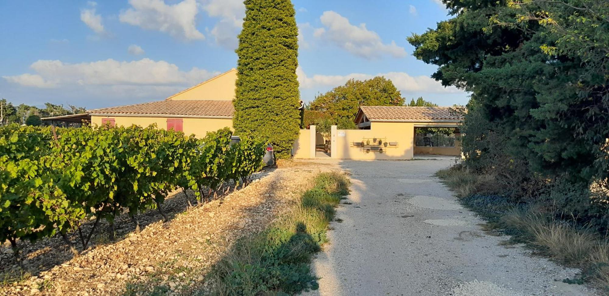 Mas La Gentille: Countryside Retreat with Pool and Private Garden Pernes-les-Fontaines Exterior photo